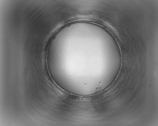 X0000074941411200609221653