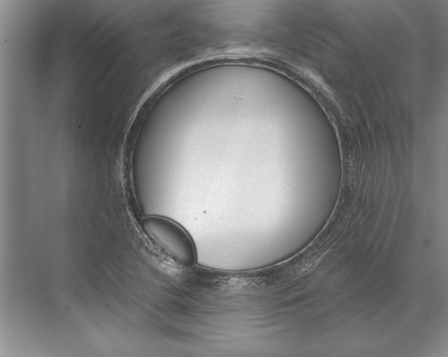 X0000074941412200609221653