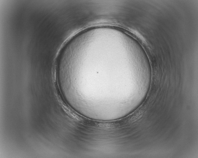 X0000074941413200609221653