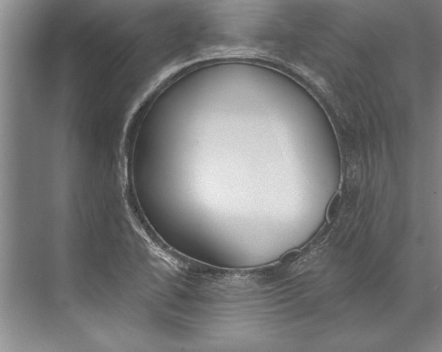 X0000074941414200609221653