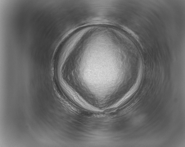 X0000074941415200609221653