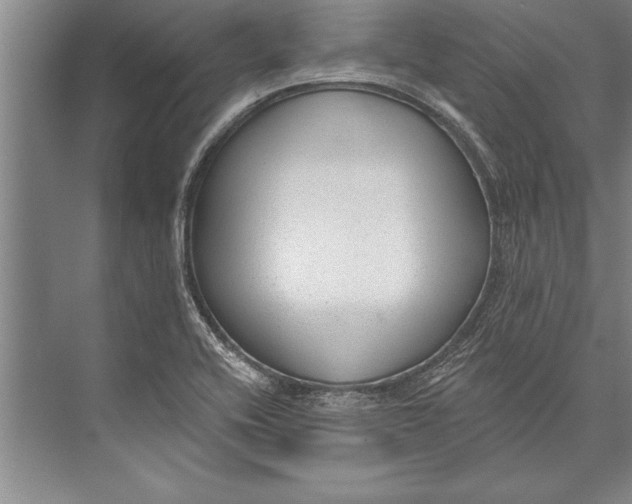 X0000074941416200609221653