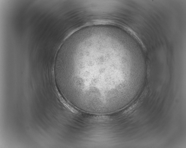 X0000074941417200609221653