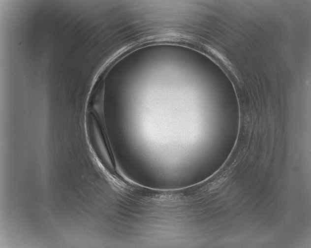 X0000074941418200609221653