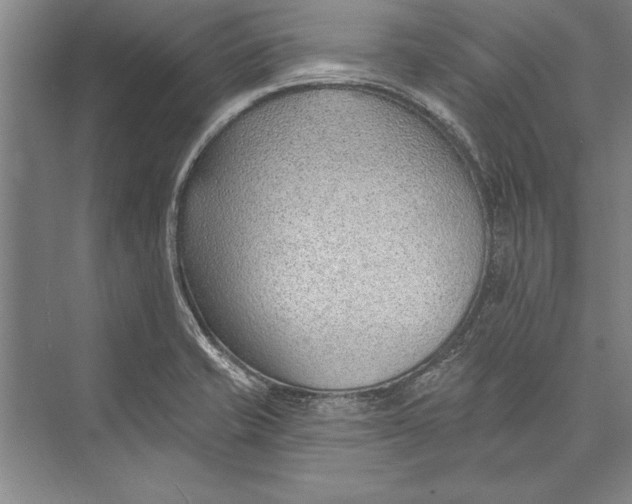 X0000074941421200609221653