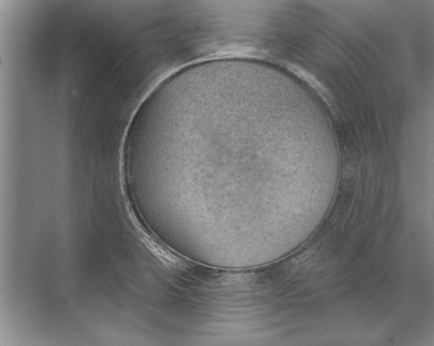 X0000074941423200609221653