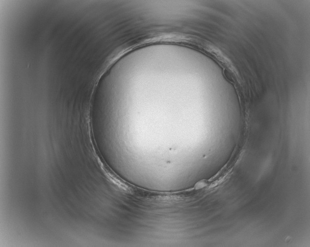 X0000074941425200609221653