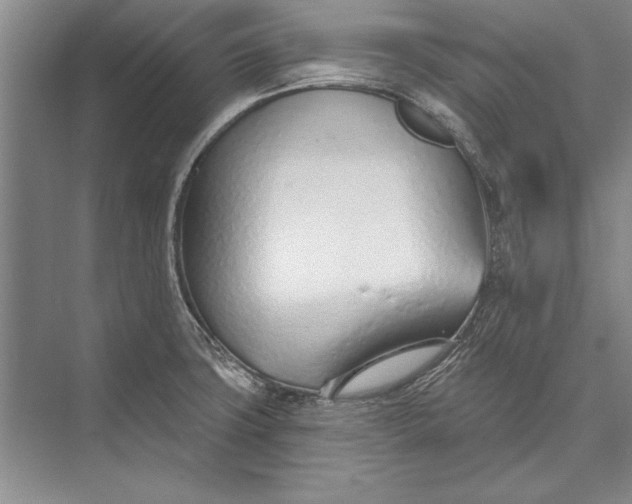 X0000074941427200609221653