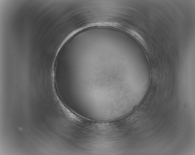 X0000074941428200609221653