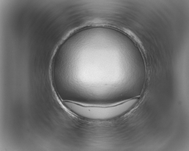 X0000074941429200609221653