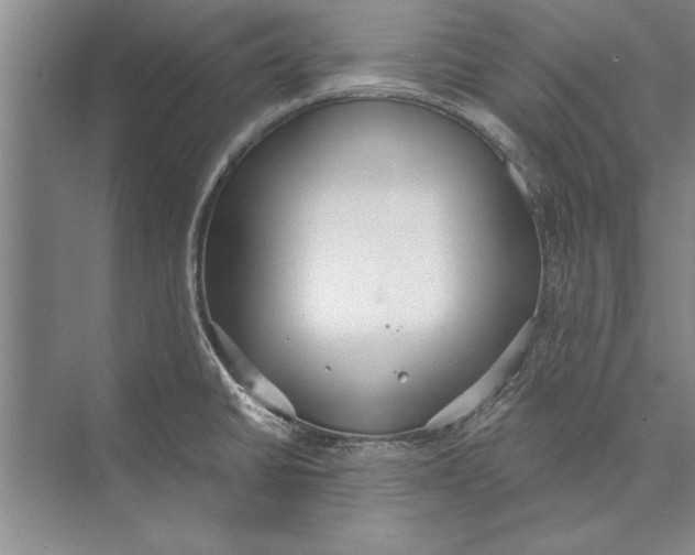 X0000074941430200609221653