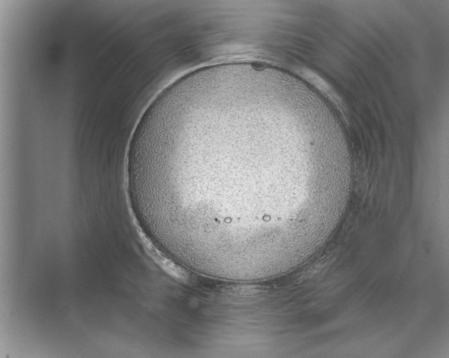 X0000074941431200609221653