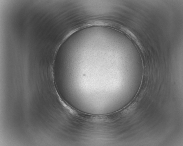 X0000074941433200609221653