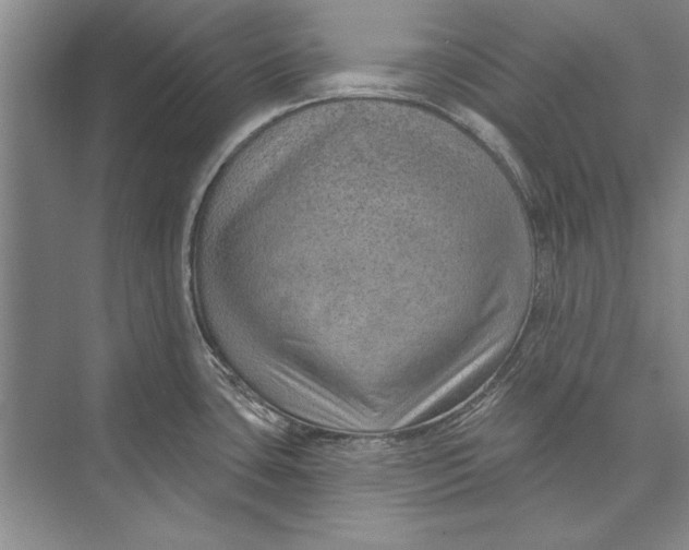 X0000074941435200609221653