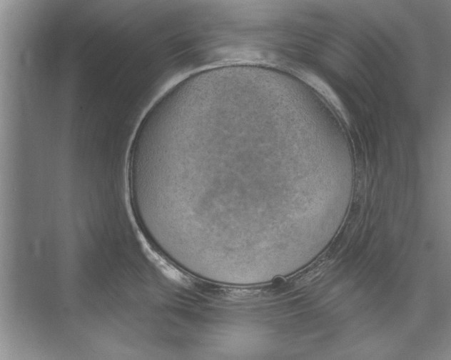 X0000074941439200609221653