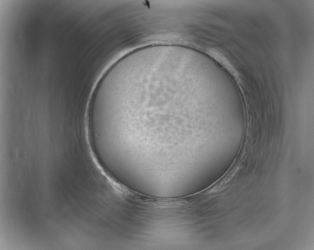 X0000074941440200609221653