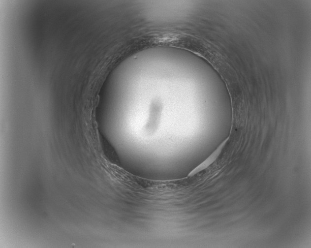 X0000074941441200609221653