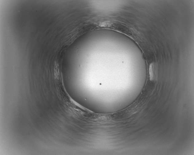 X0000074941443200609221653