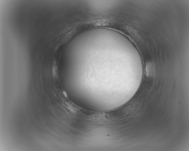 X0000074941444200609221653