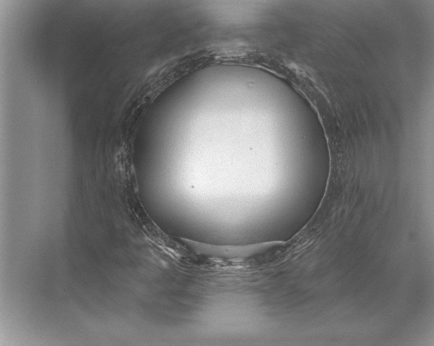 X0000074941445200609221652