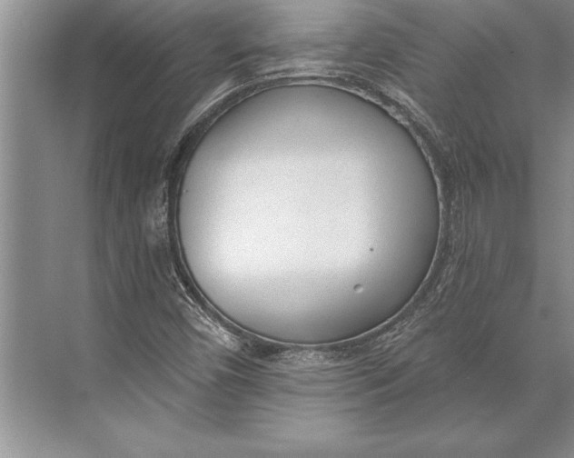 X0000074941450200609221652