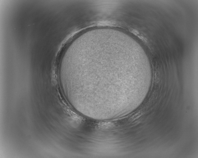 X0000074941454200609221652