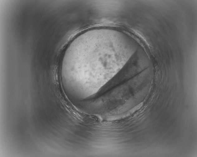 X0000074941455200609221652