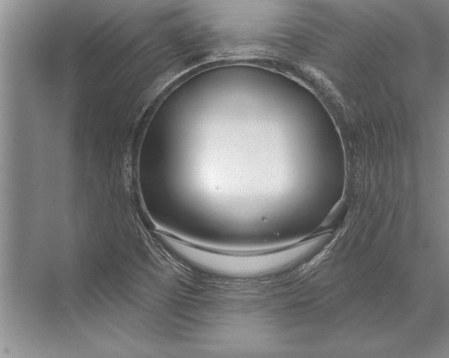 X0000074941457200609221652