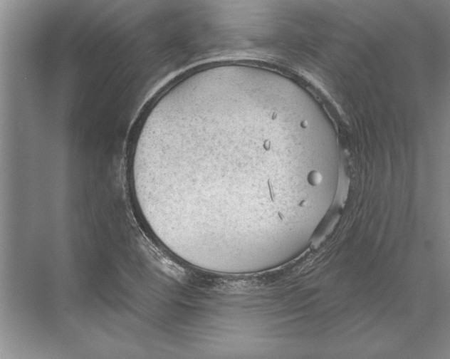 X0000074941460200609221652