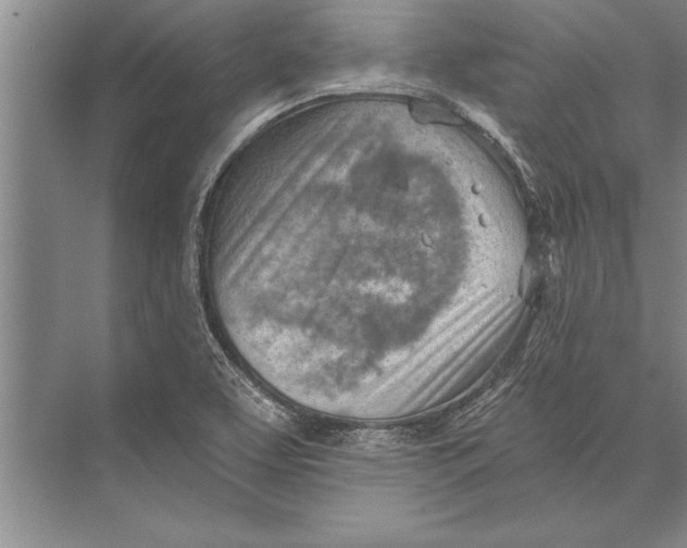 X0000074941463200609221652