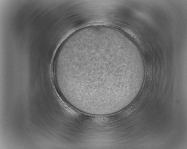 X0000074941466200609221652