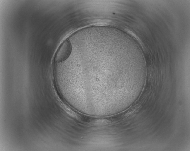 X0000074941467200609221652