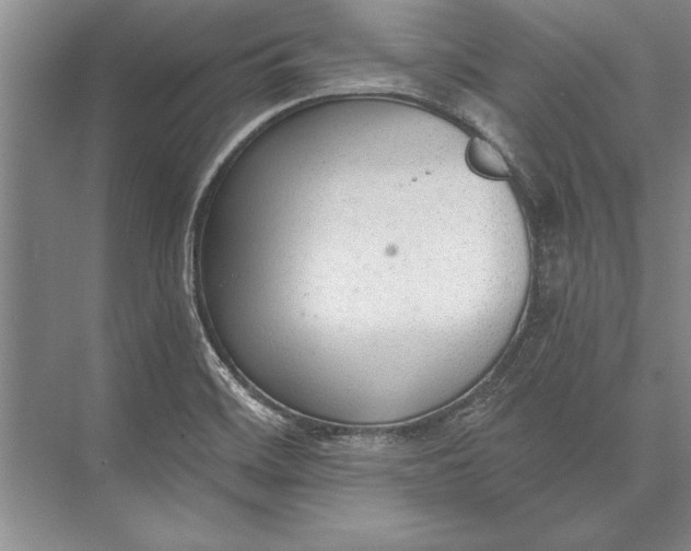 X0000074941468200609221652