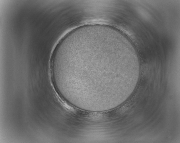 X0000074941470200609221652