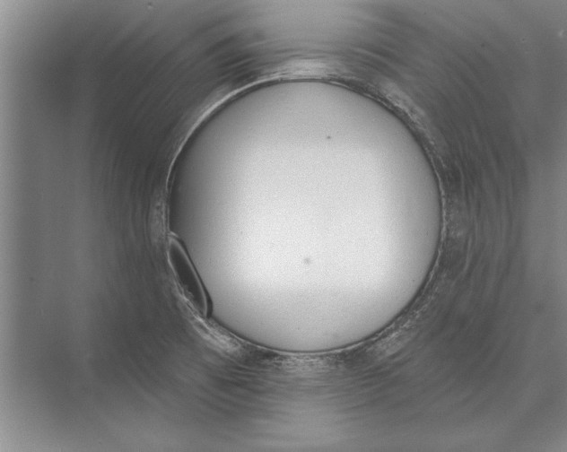 X0000074941473200609221652