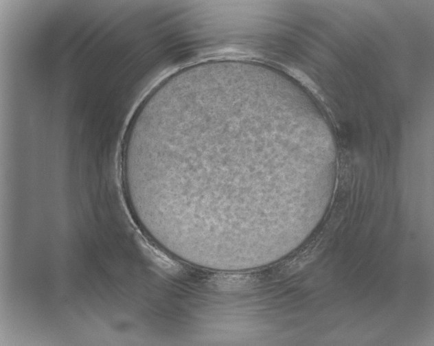 X0000074941474200609221652