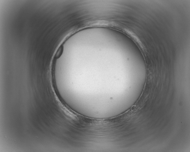 X0000074941475200609221652