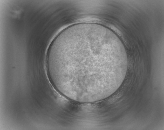 X0000074941478200609221652