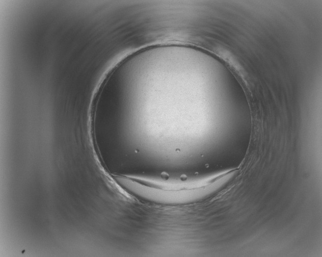 X0000074941480200609221652