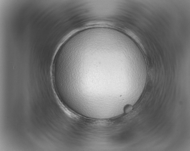 X0000074941482200609221652