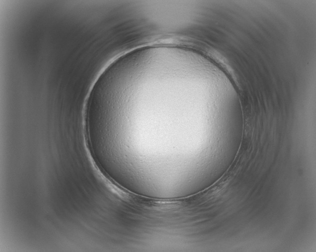 X0000074941483200609221652