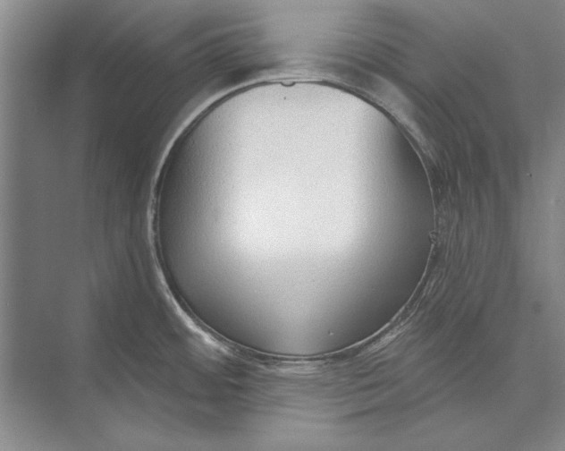 X0000074941484200609221652