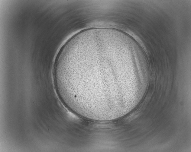 X0000074941486200609221652