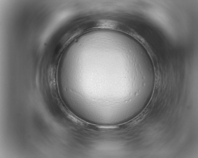 X0000074941487200609221652