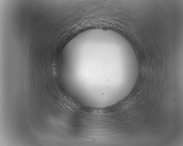 X0000074941490200609221651