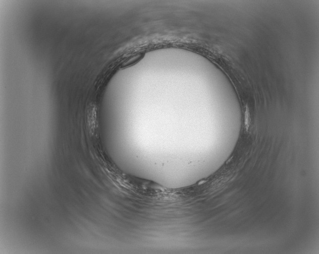 X0000074941492200609221651