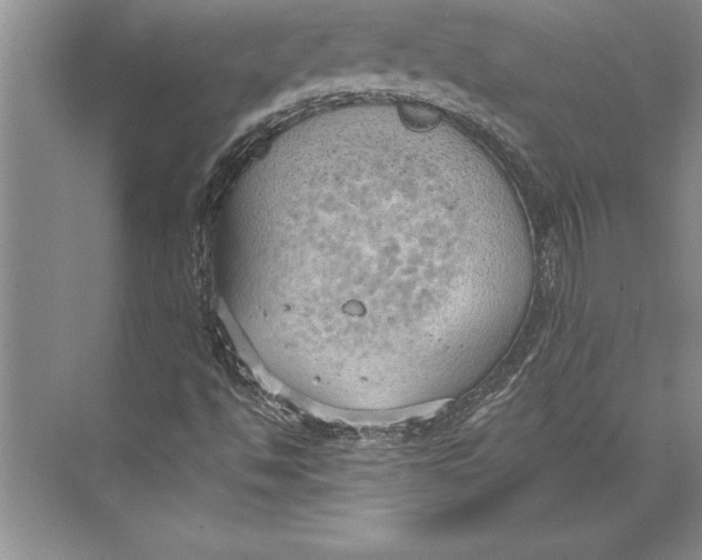 X0000074941494200609221651