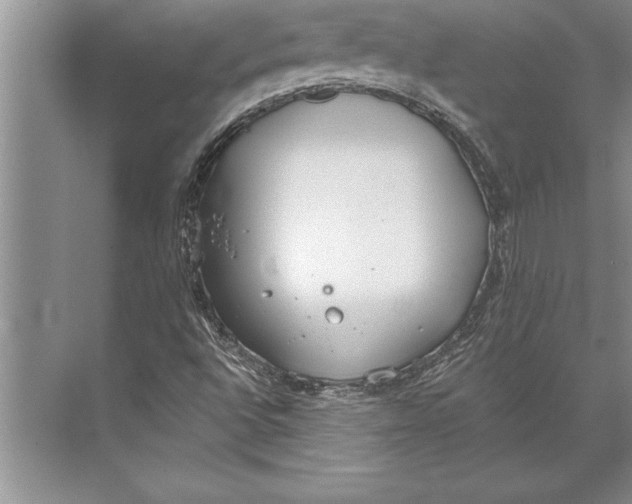 X0000074941496200609221651