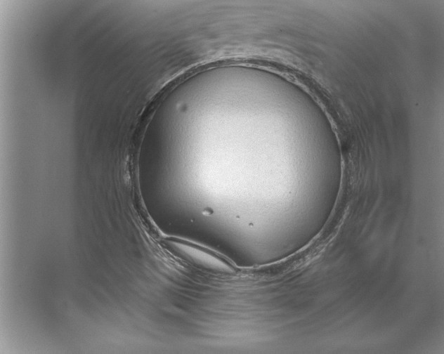 X0000074941497200609221651