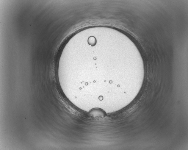 X0000074941498200609221651